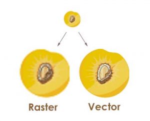 graphic design vector vs raster