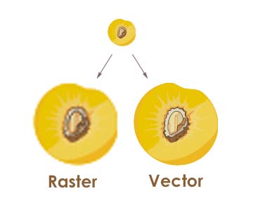 vector vs raster ppu